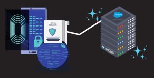 Data Security of Verbis as Salesforce Native Applications