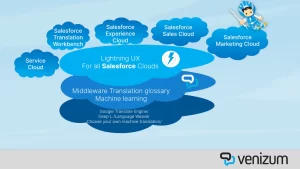 Elevating Multilingual Customer Support