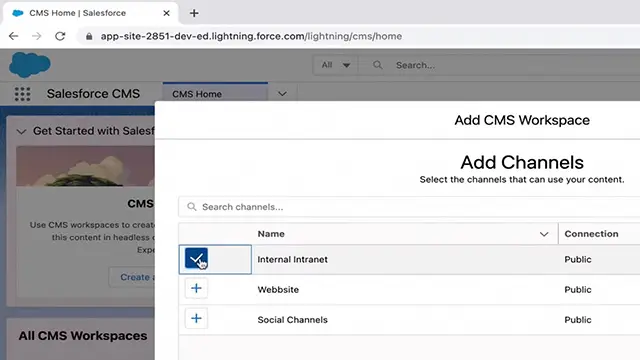Salesforce CMS channel selection interface