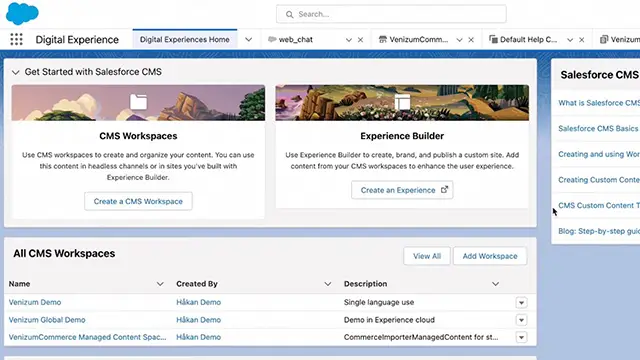 Salesforce CMS workspace interface overview