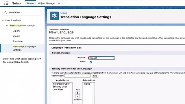 Translation settings interface for languages