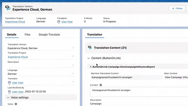 Translation interface with project details